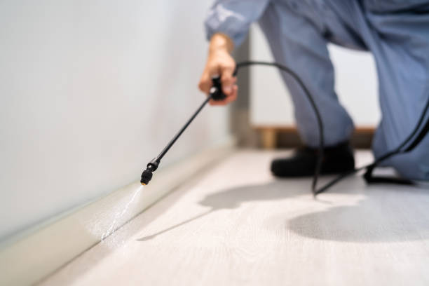Licensed Pest Control service in Medford, MA - Show Me Pest Control
